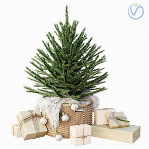 Modern Christmas tree gift box ornament 3d model